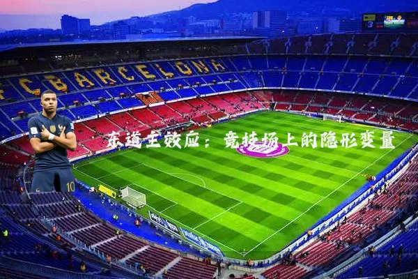 东道主效应:竞技场上的隐形变量